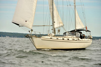 2017 Vineyard Race B_0281