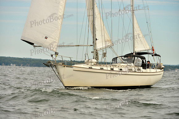 2017 Vineyard Race B_0281