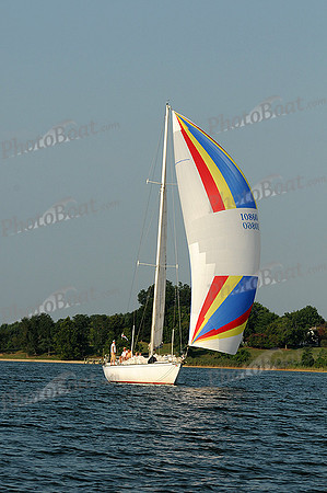 2012 Gov Cup B 919