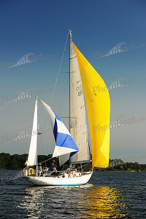 2015 Gov Cup D 229