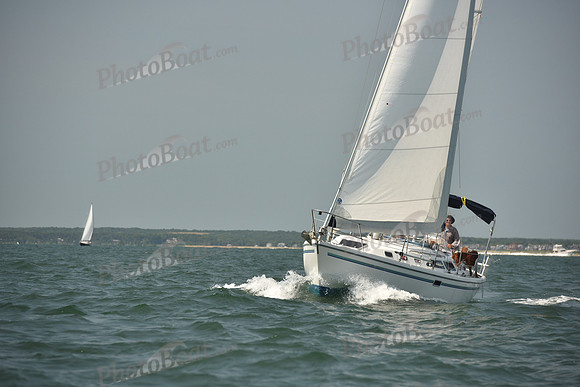 2018 Vineyard Cup A_0810