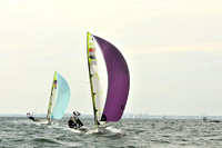 2012 HPDO A 1133