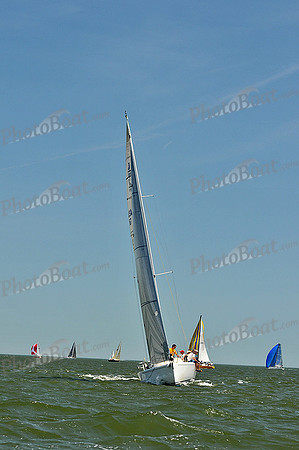 2013 Southern Bay Race Week D 1237
