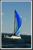 proof_2010_Vineyard_Race_0268