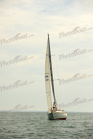 2014 Cape Charles Cup B 541