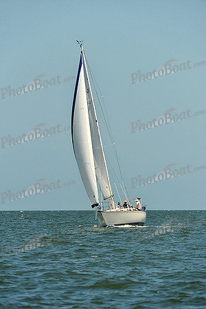 2015 Southern Bay Race Week C 1593