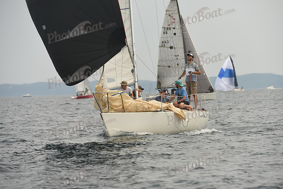 2016 Chester Race Week D_0241