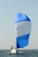 2012 Vineyard Race A 784