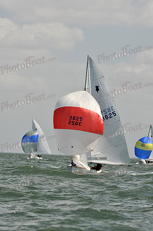 2012 Thistle Midwinters B 1279