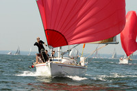 2012 Vineyard Race A 115
