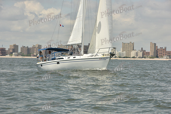 2018 ALIR_1576