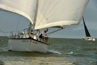 2016 Southern Bay Race Week B_0237