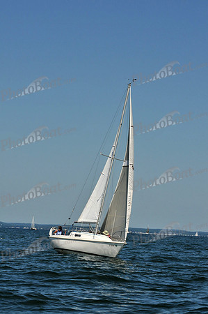 2010 Leukemia Cup B 381