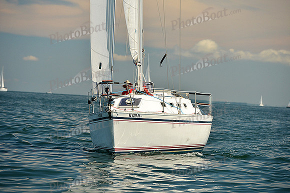 2015 Cape Charles Cup C 365