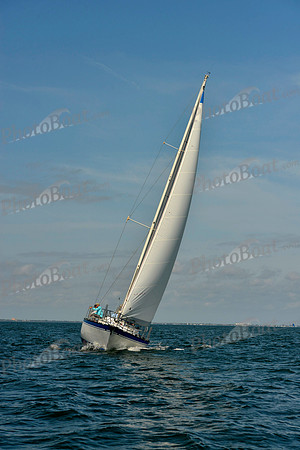 2019 St Pete NOOD C_0084