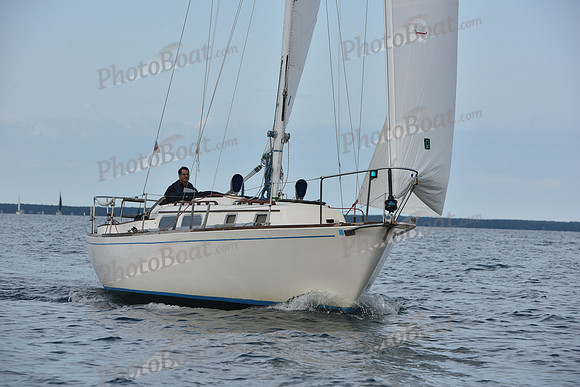 2019 Around Marthas Vineyard A_0159