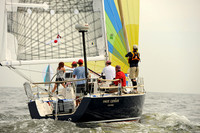 2013 Vineyard Race A 310
