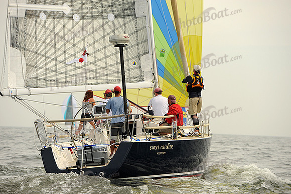 2013 Vineyard Race A 310