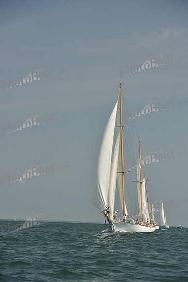 2018 Vineyard Cup A_1238