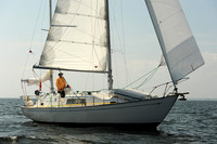 2013 Vineyard Race A 1867