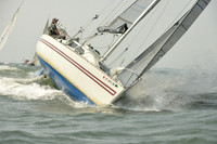 2015 Vineyard Race A 648
