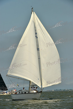 2016 Southern Bay Race Week B_0230