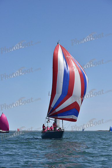 2019 Figawi_1209