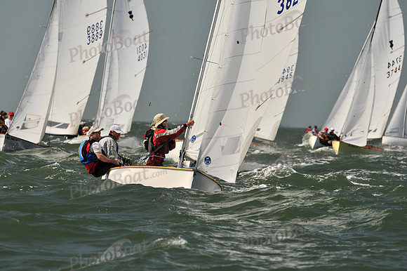 2012 Thistle Midwinters B 536