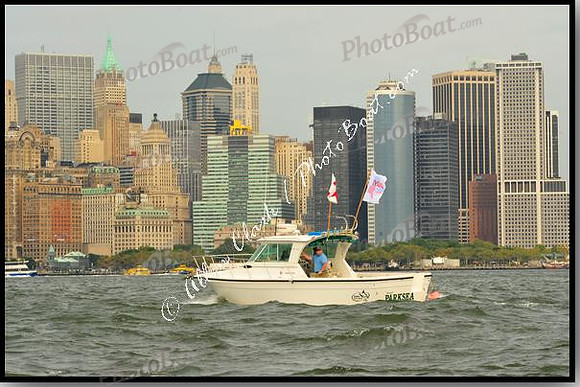 proof_2009 NY400FD 3793