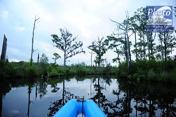 2015 North Carolina Creek 038