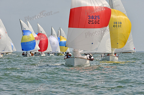 2012 Thistle MidWinters B 1385