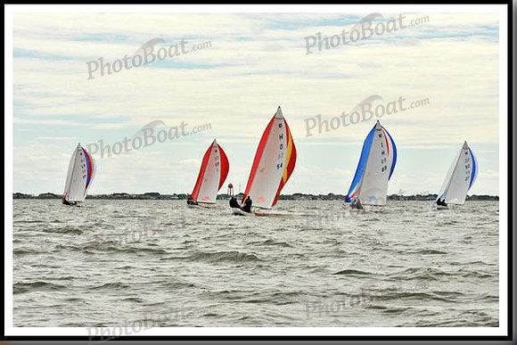 proof_2010_EScows_A 877