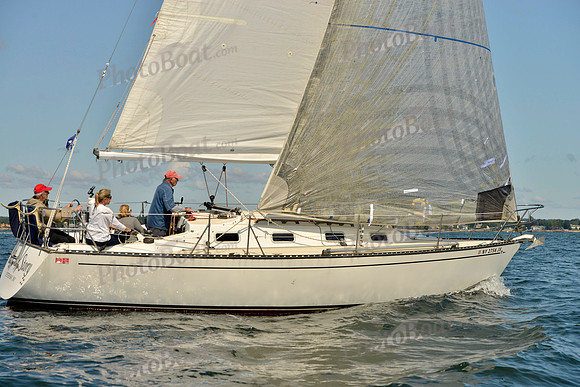 2017 Stamford Denmark Race_0281