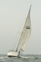 2015 Vineyard Race A 407
