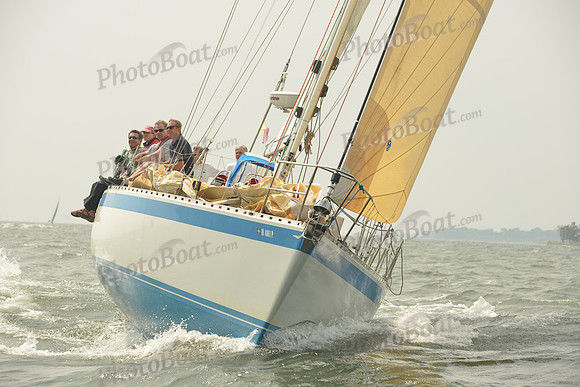 2015 Vineyard Race A 1481