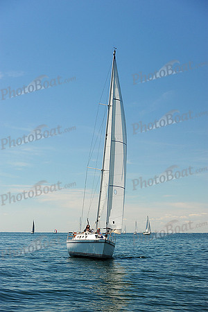 2015 Cape Charles Cup B 244