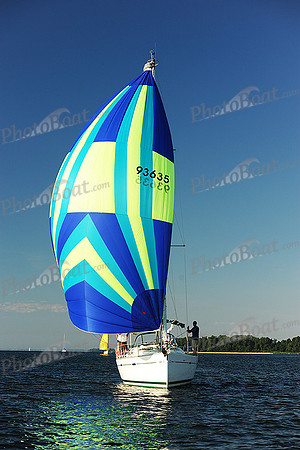 2015 Gov Cup D 193