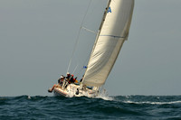 Sea Biscuit