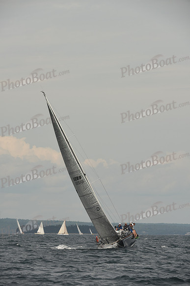 2016 Chester Race Week C_1216