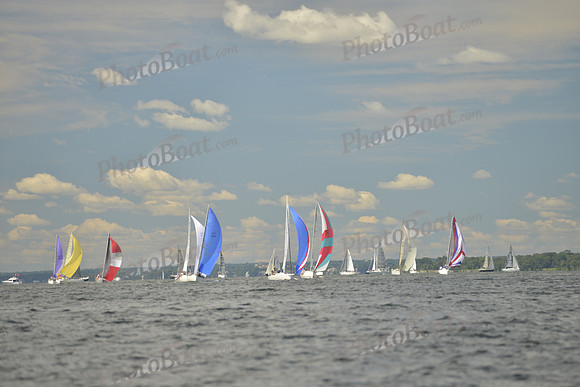 2016 Vineyard Race A_0431