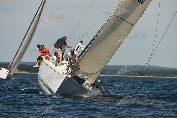 2016 Chester Race Week A_0010