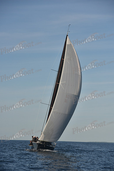 2019 Vineyard Race B_0320