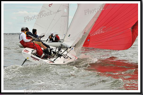 proof_2010_EScows_A 914
