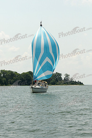 2012 Gov Cup D 351