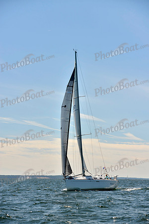 2017 Vineyard Race A_0934