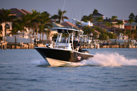 2019 Feb 10 Tampa Bay A_1412