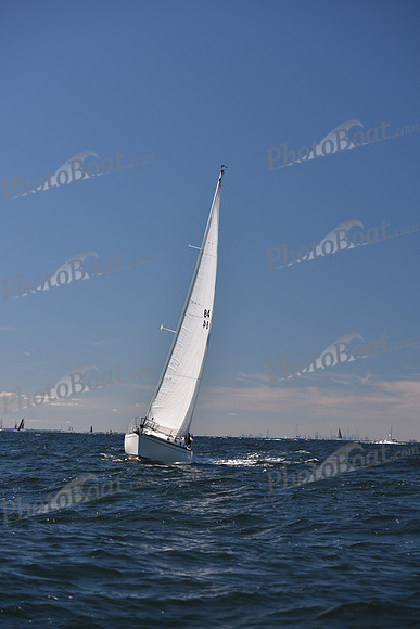 2022 Vineyard Race A_0233
