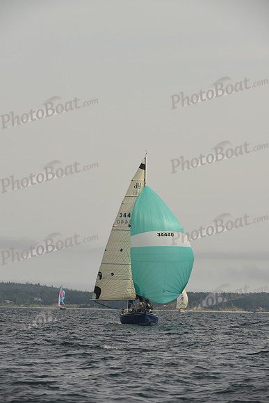 2016 Chester Race Week C_1627
