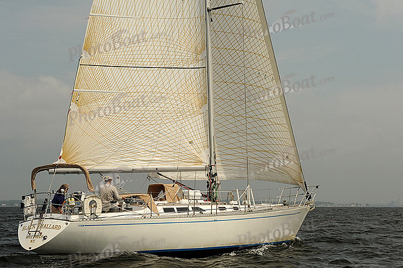 2013 Vineyard Race A 405