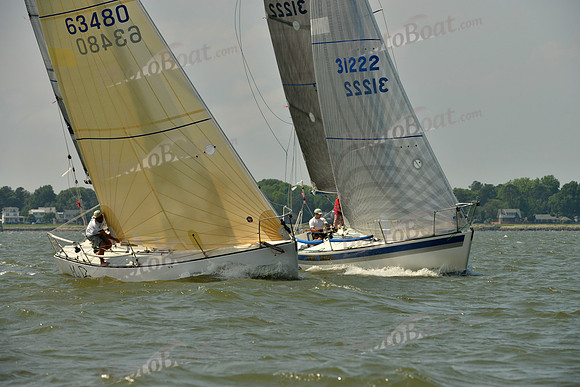 2016 Southern Bay Race Week B_0437